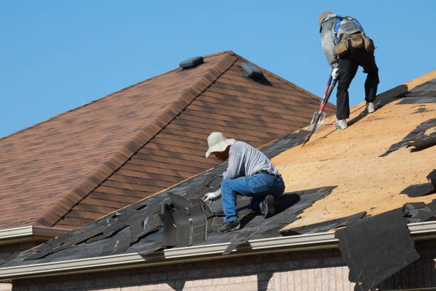 Best Roof Ventilation Installation  in Lamont, CA
